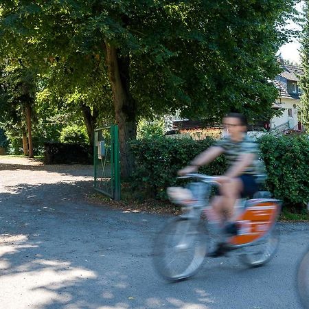 Das Wiesenhaus: Wohnen Direkt Am Rhein Cologne Exterior photo